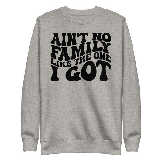 "Aint No Family Like the One I Got", Family quotes Unisex Premium Sweatshirt