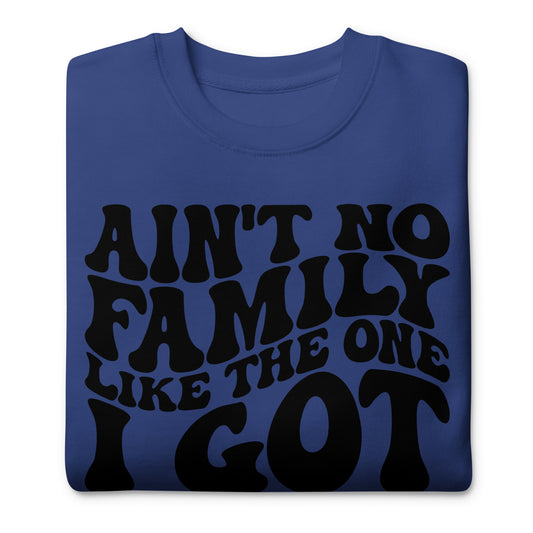 "Aint No Family Like the One I Got", Family quotes Unisex Premium Sweatshirt