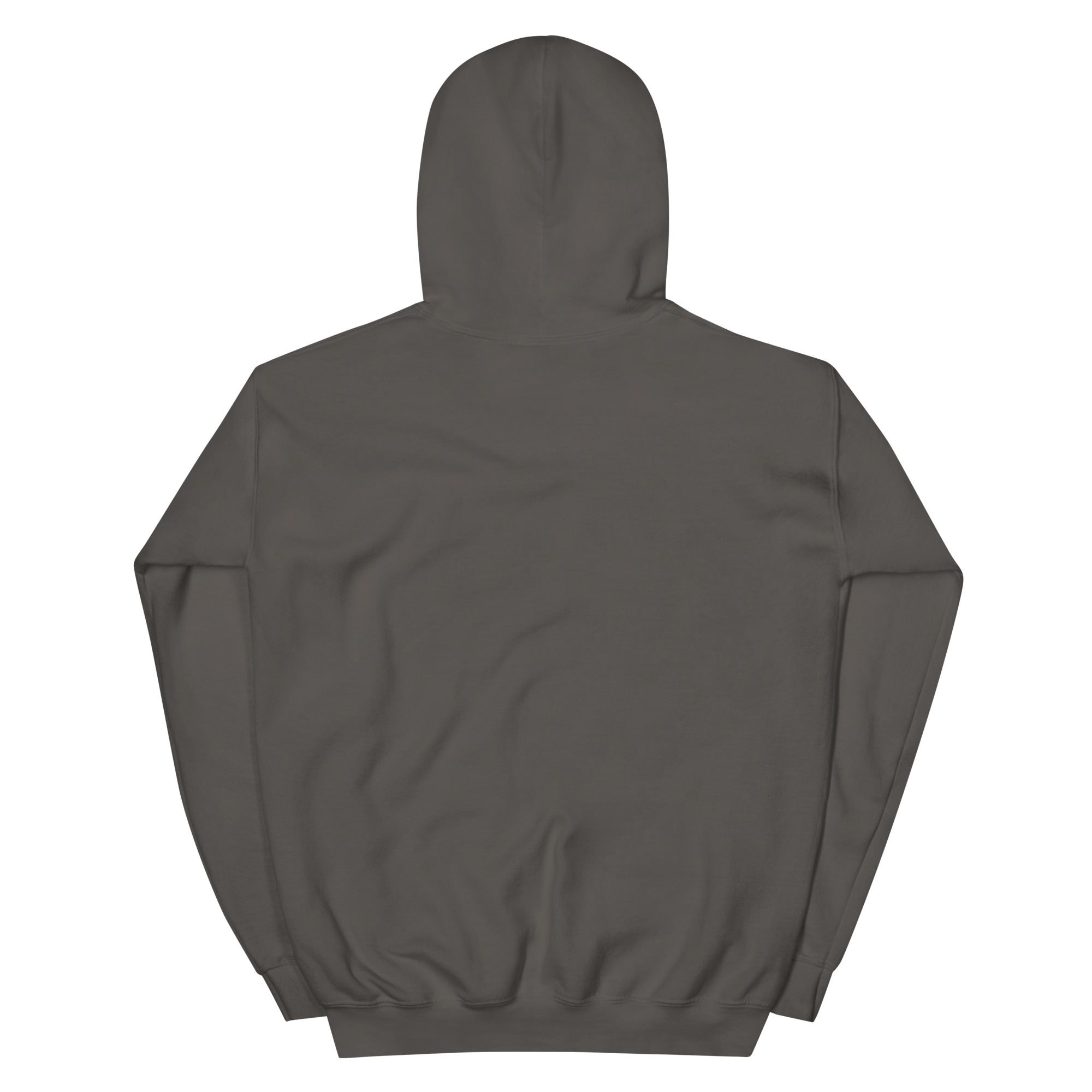 st. patrick's day unisex hoodie