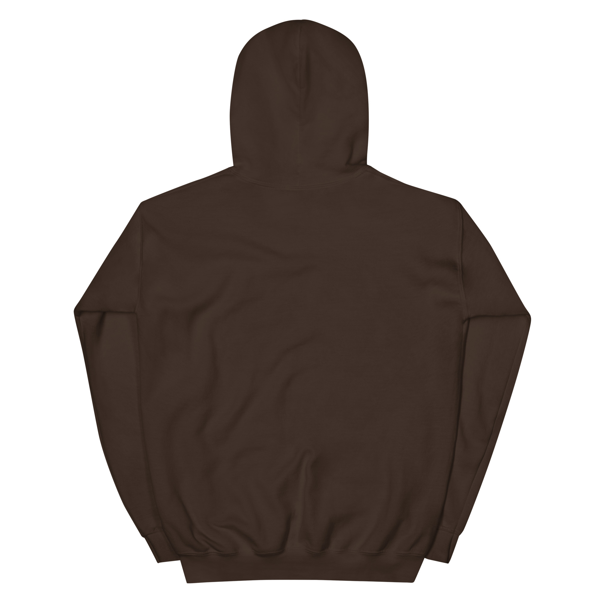 st. patrick's day unisex hoodie