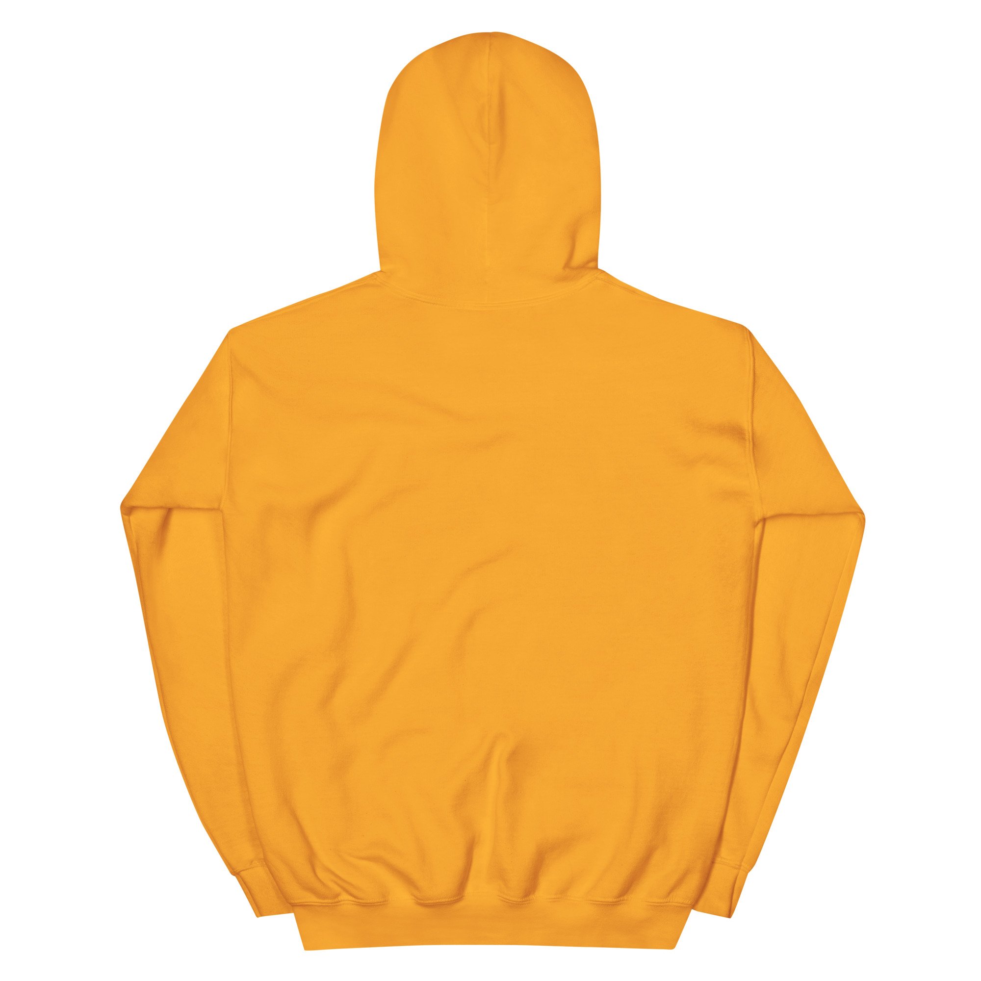 st. patrick's day unisex hoodie