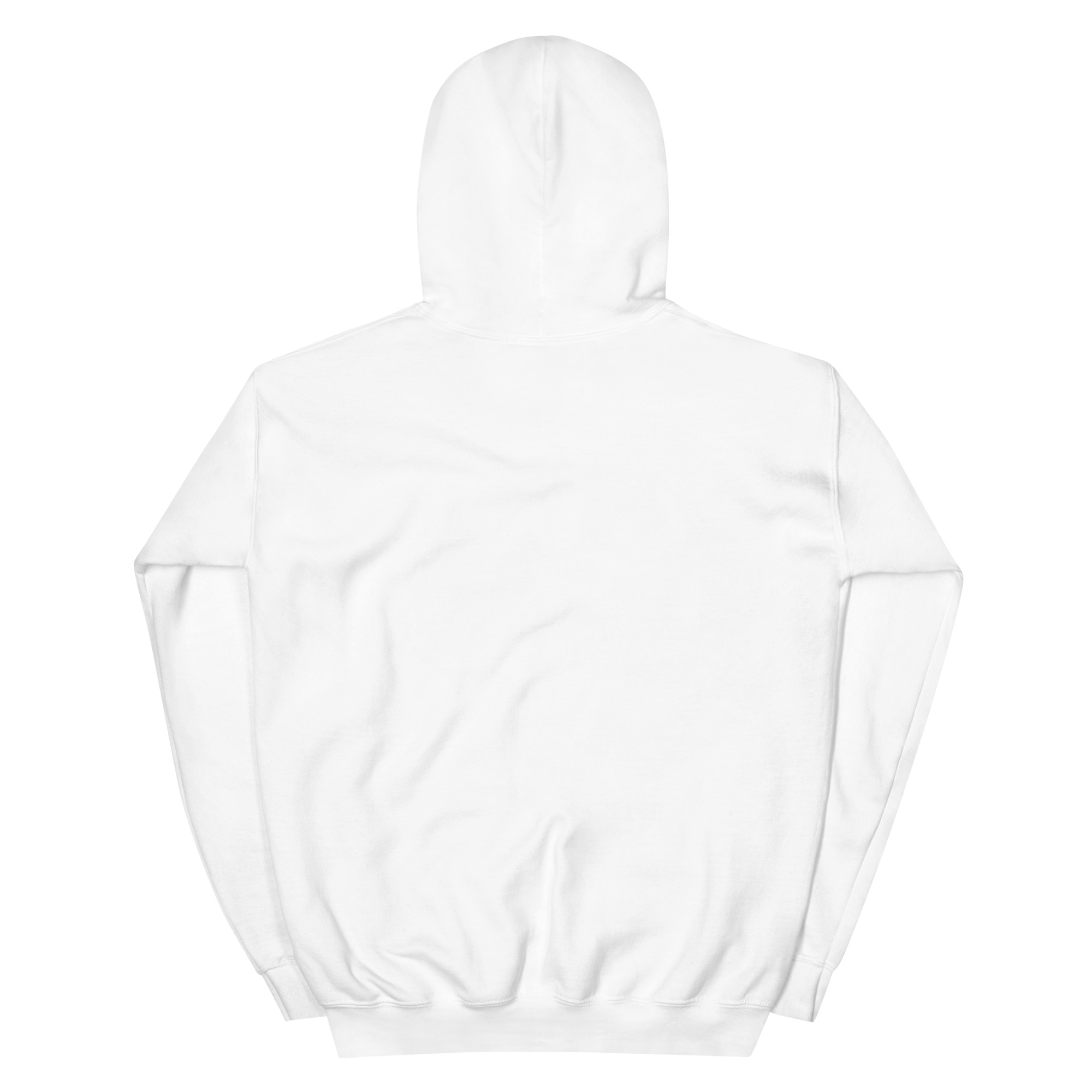 st. patrick's day unisex hoodie