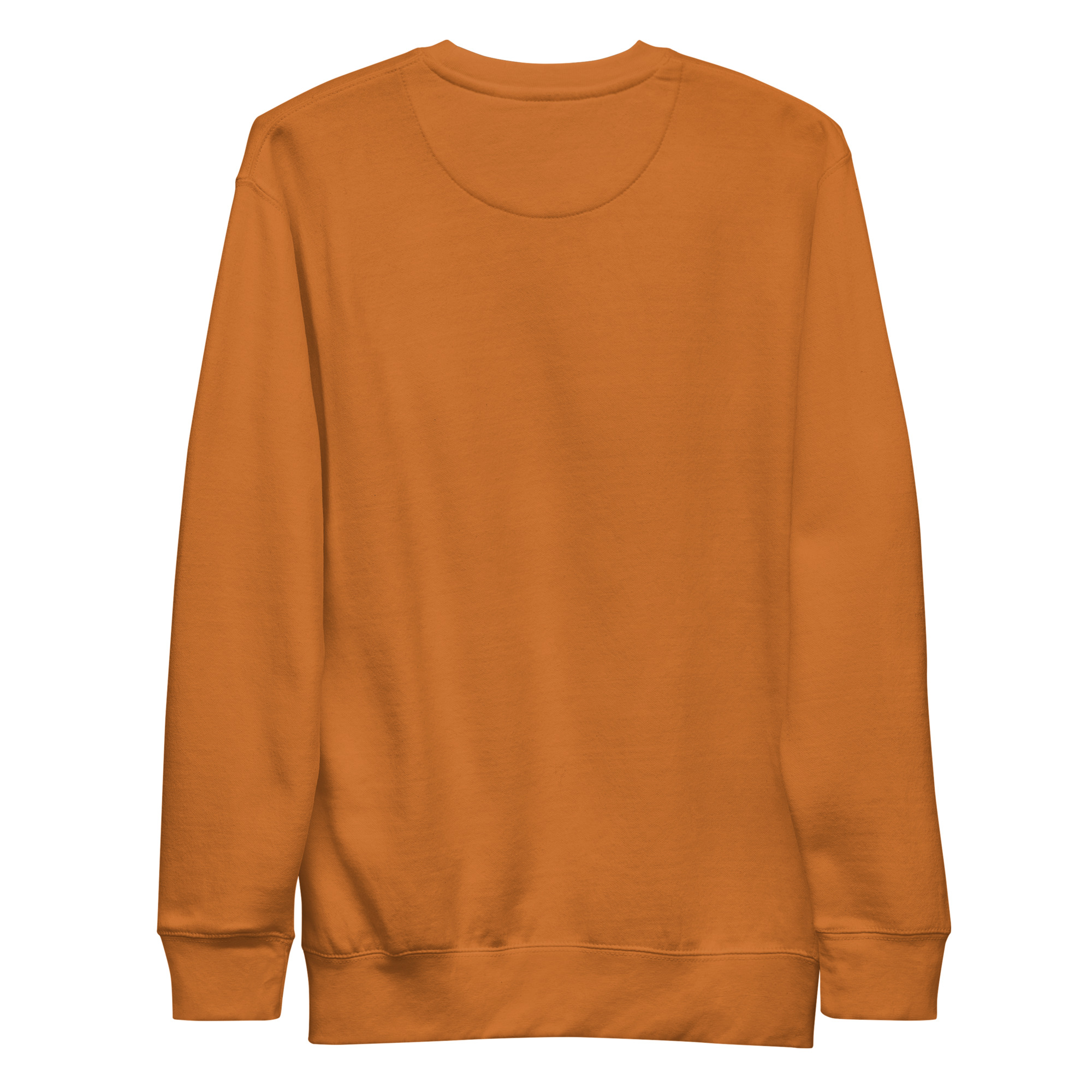 st. patrick's day unisex premium sweatshirt