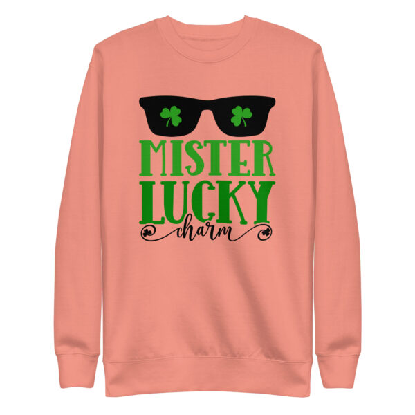 st. patrick's day unisex premium sweatshirt
