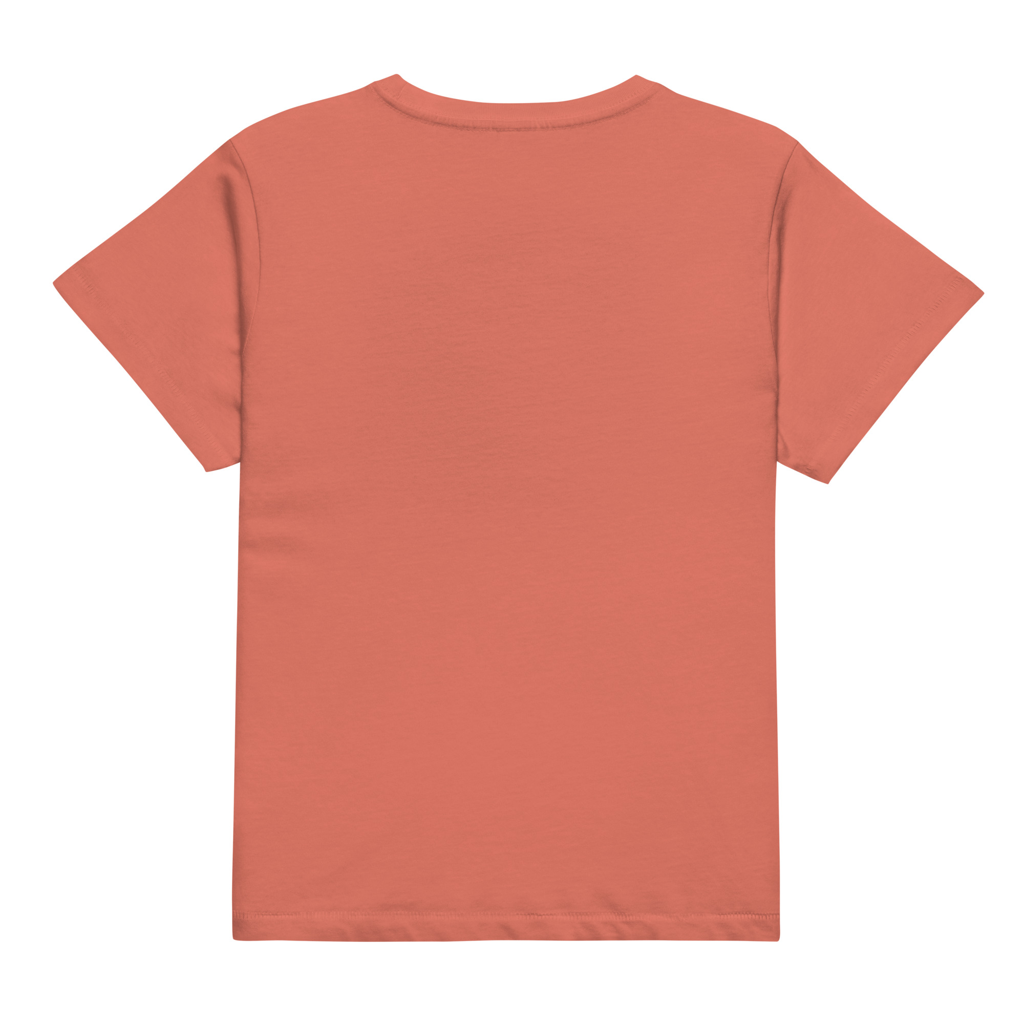st. patrick's day women’s high waisted t shirt