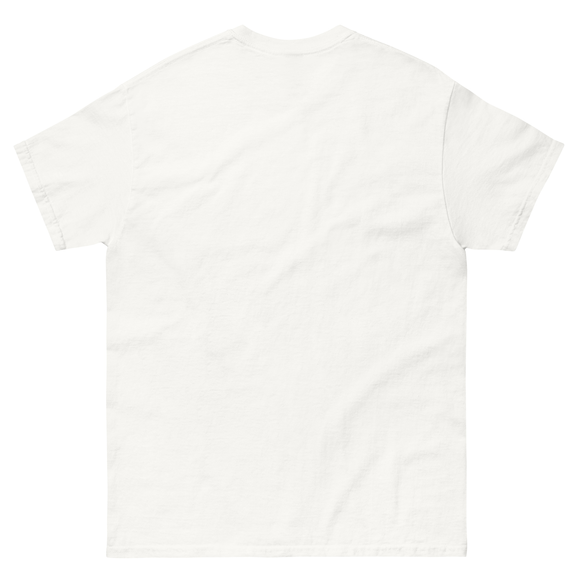 cinco de mayo unisex classic tee, viva la mexico